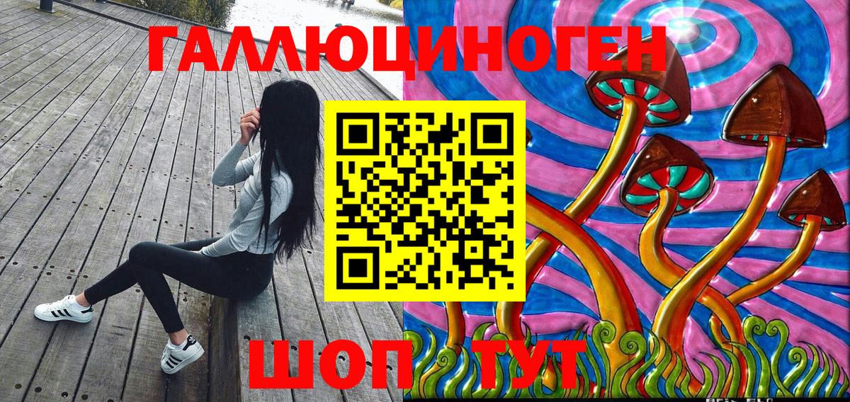 Галлюциногенные грибы прущие грибы  Вход с VPN  Камышин 